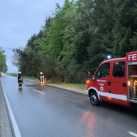 einsatz_baum_20190515_5.jpg